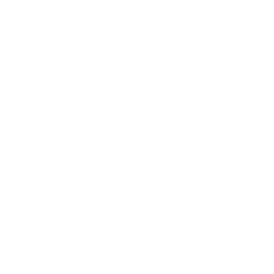 Vox Popular Media Arts Festival
